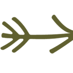 A green arrow pointing right with three lines on the left, resembling a branch or stylized fishbone—perfect for a Summer Camp Ad Campaign seeking a fresh, nature-inspired look.