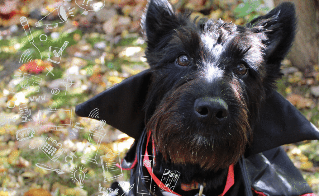 Black dog wearing a cape outdoors with doodles of tech and social media icons surrounding its head.