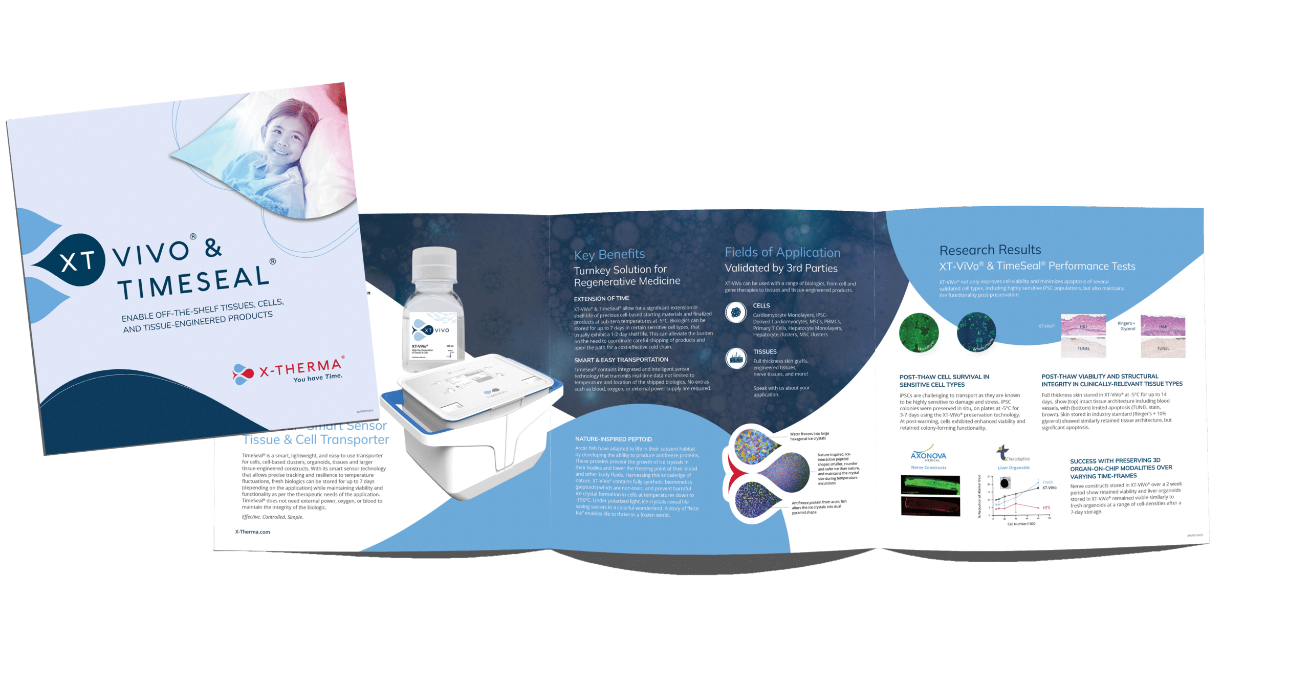 XT VIVO & TIMESEAL product brochure featuring images, product benefits, applications, research results, and insights inspired by a website redesign case study.