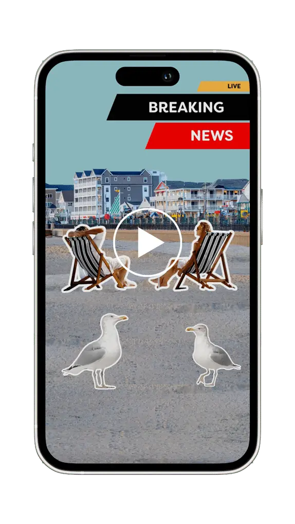 Two people relax in deck chairs on a beach with two seagulls while checking Breaking News on their phone screen via social media.