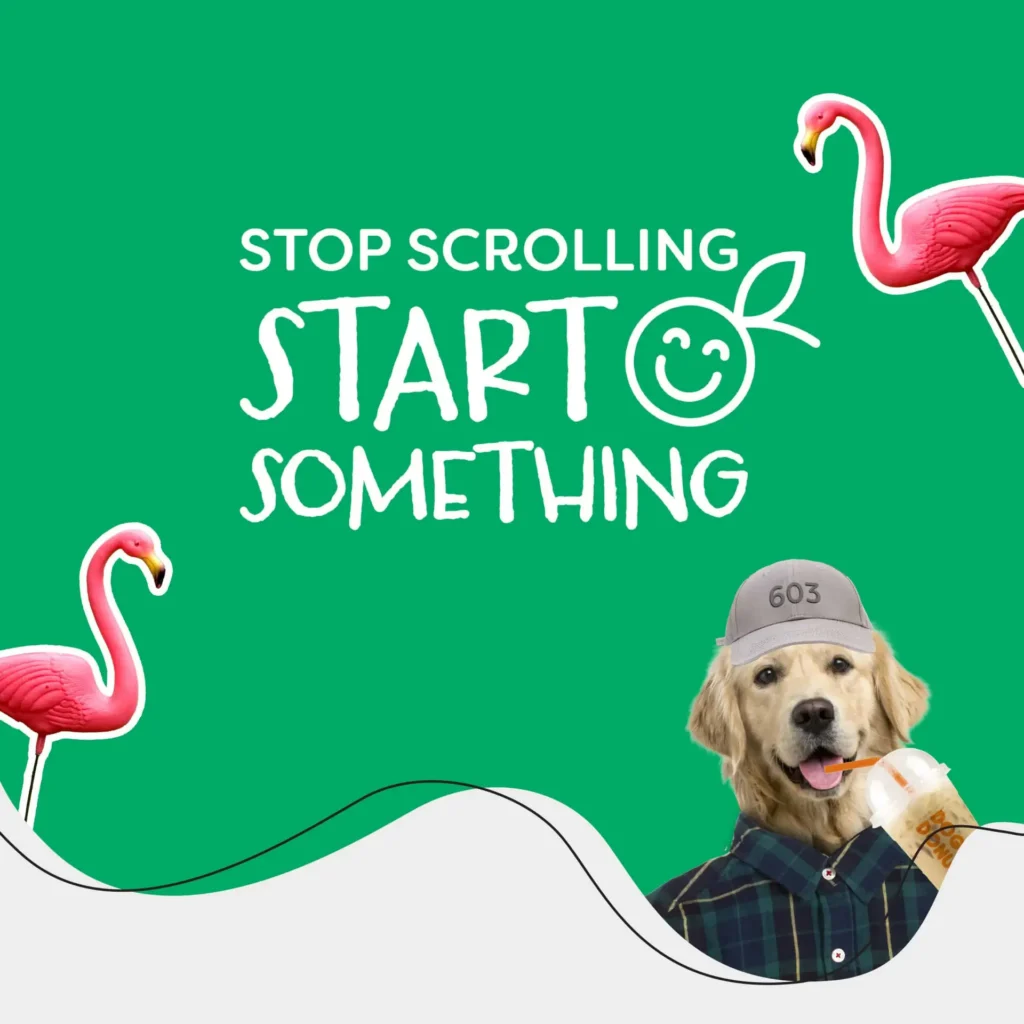 Stop Scrolling graphic with dog and flamingos for social media campagin
