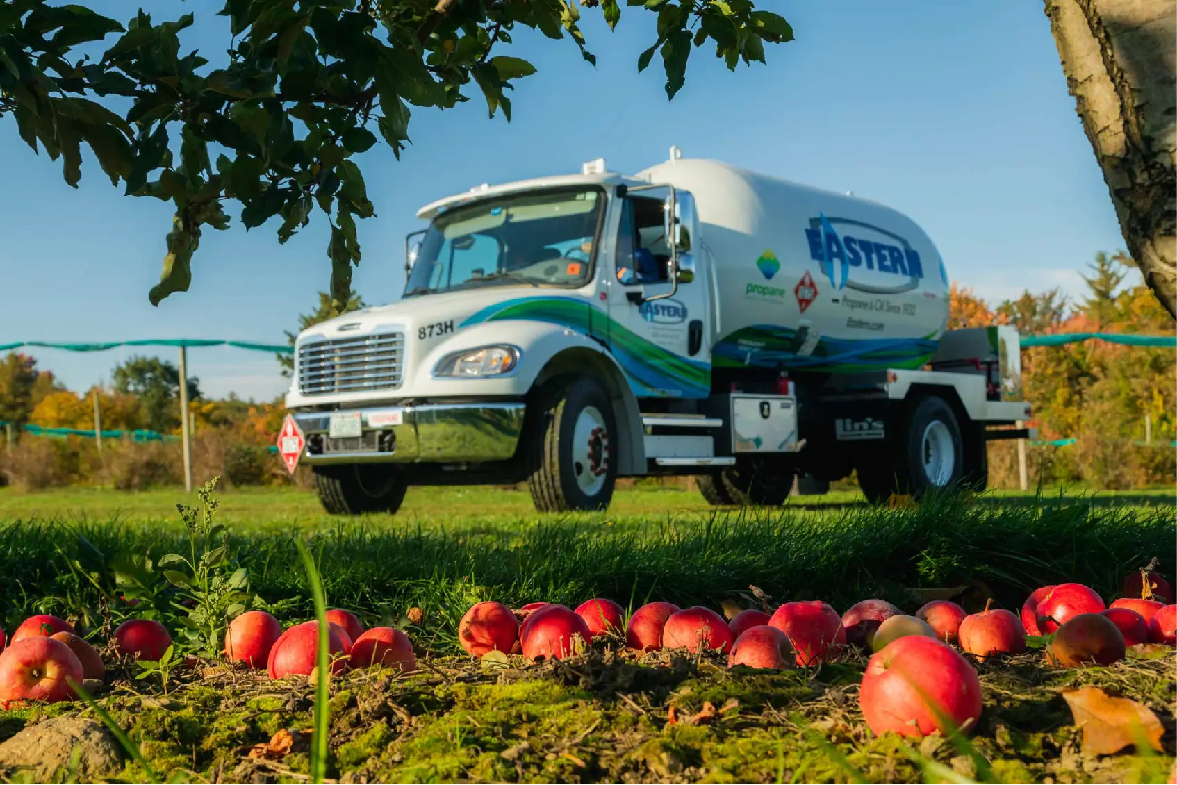 A white fuel truck is parked on grass near scattered red apples under trees, capturing a peaceful community scene on a sunny day.